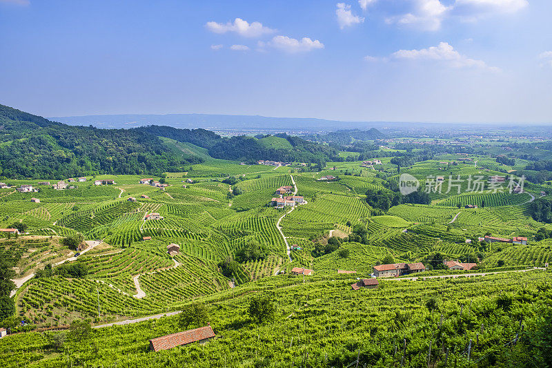 Prosecco Hills of Conegliano and valdovadene(意大利威尼托)